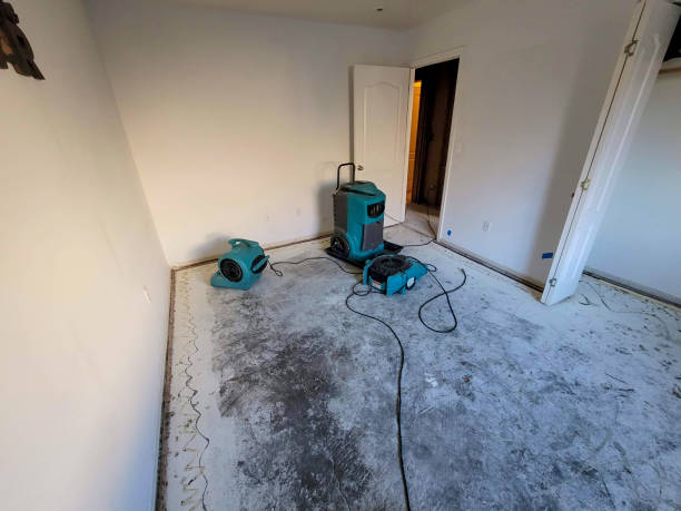 Best Basement water damage restoration  in Irmo, SC