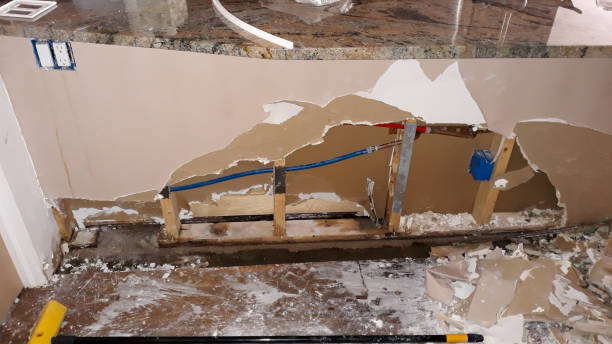 Best Local water damage restoration  in Irmo, SC