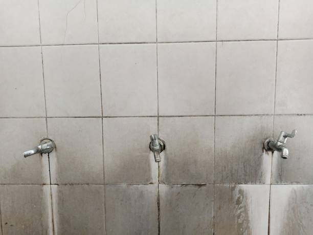 Best Flooded house restoration  in Irmo, SC