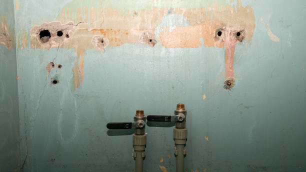 Best Residential water damage restoration  in Irmo, SC