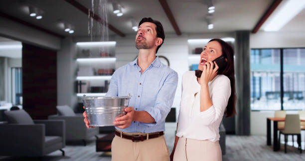 Best Sewage cleanup and water damage restoration  in Irmo, SC
